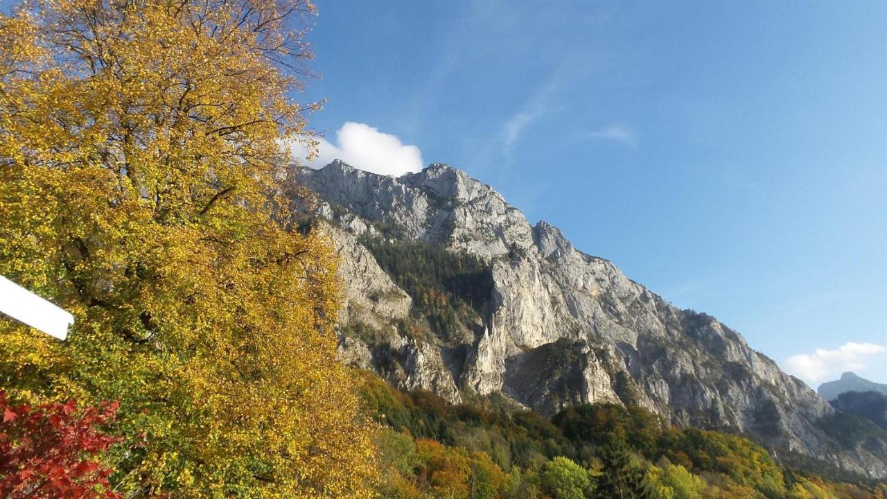 Wolfis Traunseeblick - Mit Kostenlosem Parkplatz Direkt An Der Unterkunft Гмунден Экстерьер фото